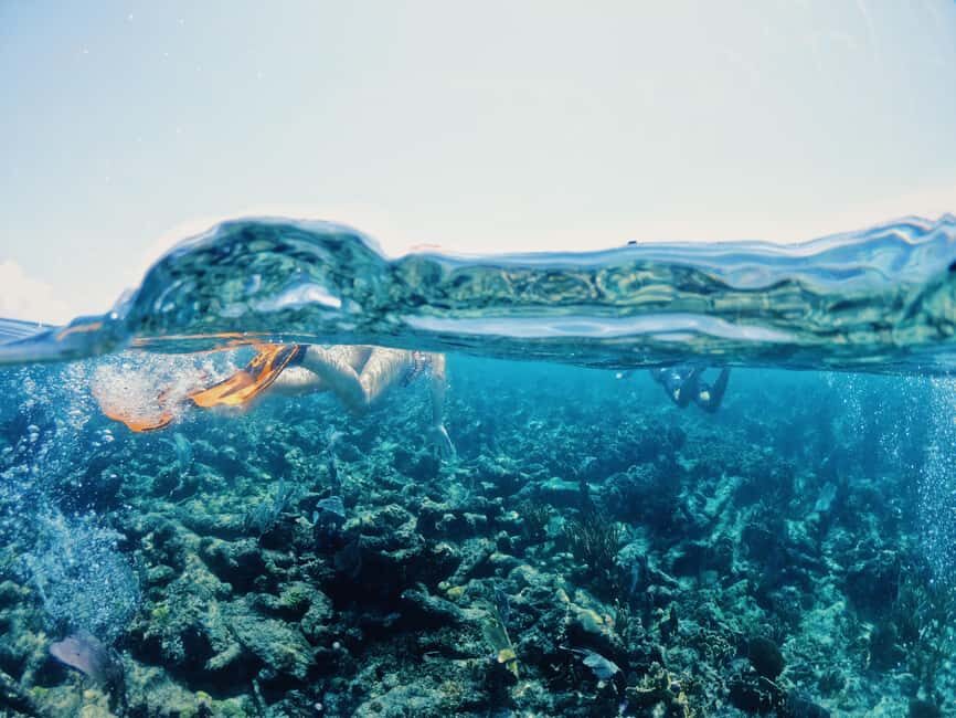 Tulum: Private Snorkel and Sailing Experience - Price and value: why $80 can make sense here