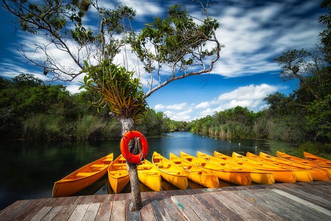 Tulum Ruins and 3 Cenotes - Jungle Adventure - The Lunch and Snacks: Real Fuel at the Right Time