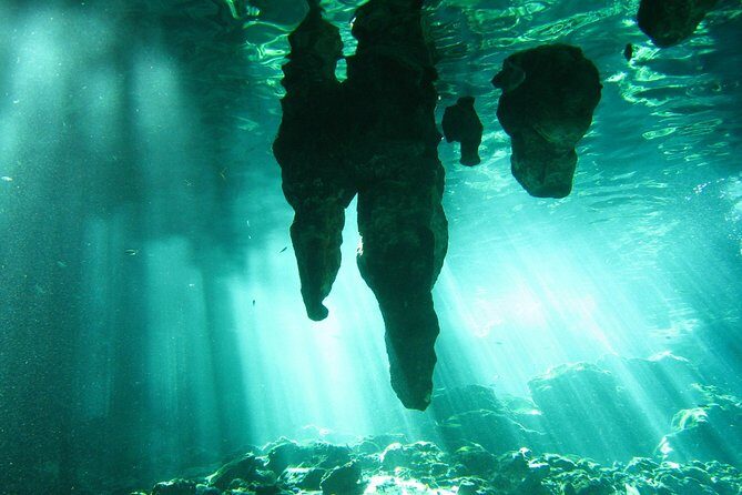 Tulum Ruins & Cenote guided private tour from Tulum and Riviera Maya. - Private transportation from Tulum hotels: easy mornings beat logistics