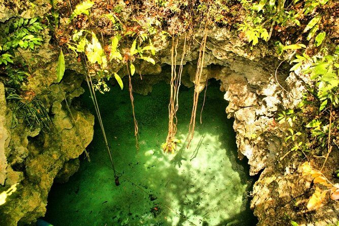 Tulum Ruins & Cenote guided private tour from Tulum and Riviera Maya. - Value check: what you’re really paying $299 for