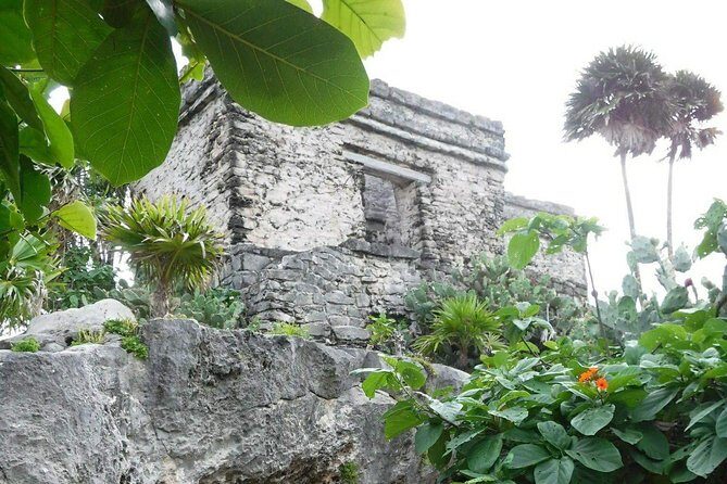 Tulum Ruins Tour (Private, Half Day) - Who should book this private Tulum Ruins tour