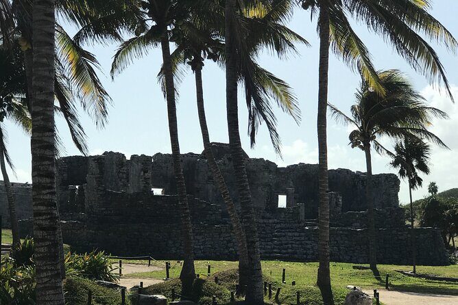 Tulum Ruins Tour (Private, Half Day) - Should you book this Tulum Ruins Tour (Private, Half Day)?