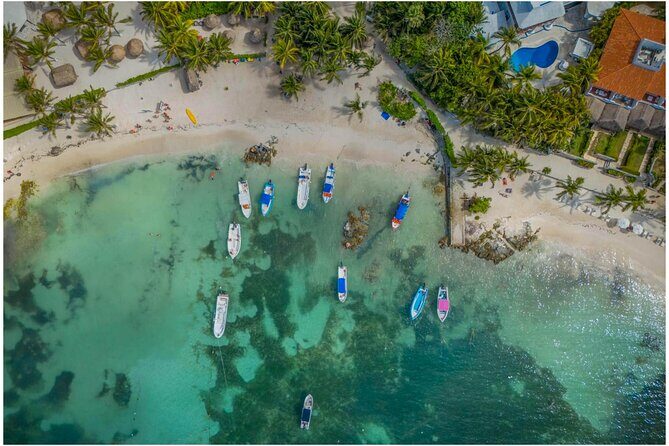 Tulum Ruins, Turtles in Akumal and Cenote tour - Key Things You’ll Notice on This Tour