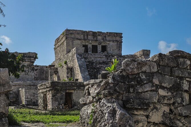 Tulum Ruins, Turtles in Akumal and Cenote tour - Price and Logistics: What You’re Paying For