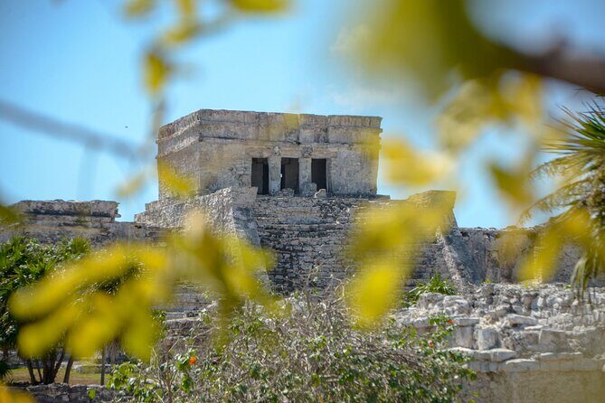 Tulum Ruins, Turtles in Akumal and Cenote tour - Akumal Turtle Snorkeling: Clear Rules, Real Crowds, and Big Moments