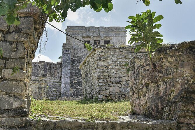 Tulum Ruins, Turtles in Akumal and Cenote tour - Getting From Your Hotel: Early Pickup That Sets the Tone