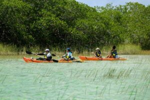 Tulum: Sian Ka'an Biosphere Reserve Kayak Tour - Getting there from Tulum: early pickup, straightforward half-day timing