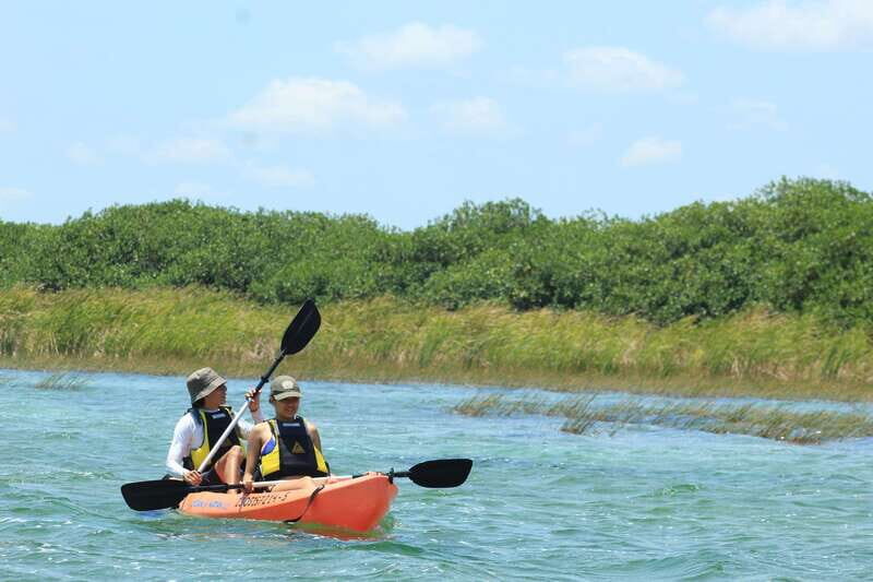 Tulum: Sian Ka'an Biosphere Reserve Kayak Tour - Kayaking Laguna de Muyil: mangroves, channels, and the wildlife rhythm