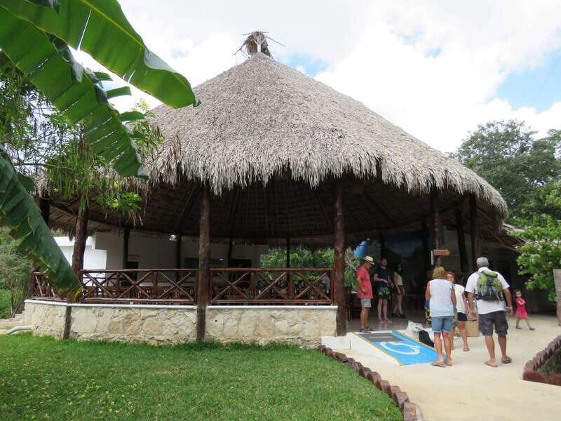 Tulum: Sian Ka'an Biosphere Reserve Kayak Tour - What to pack: sun, bugs, and the small comfort fixes