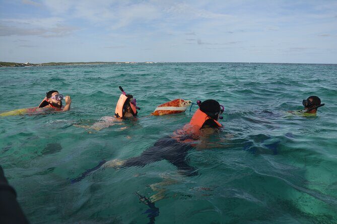 Tulum: Snorkeling and Private Sailing Tour - Snorkeling at the reef: gear, first-timer confidence, and smart mask habits