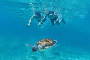 Tulum, Snorkeling with Sea Turtles, Cenote and Beachside Lunch - The day’s flow: what 6.5 hours usually turns into