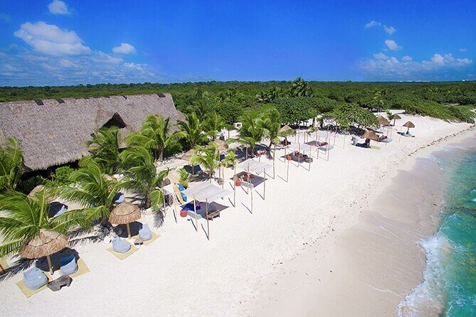 Tulum, Snorkeling with Sea Turtles, Cenote and Beachside Lunch - Transportation realities: bumpy roads and motion sickness odds