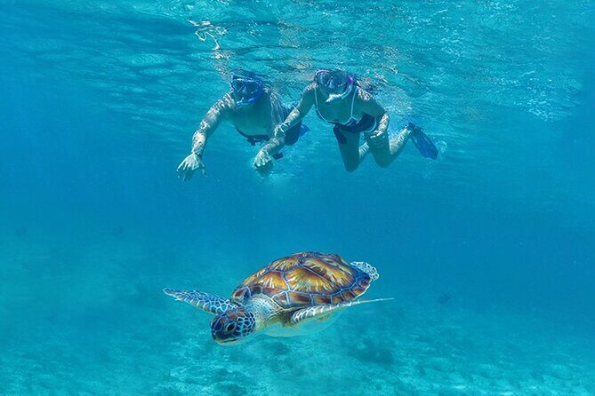 Tulum, Snorkeling with Sea Turtles, Cenote and Beachside Lunch - The day’s flow: what 6.5 hours usually turns into
