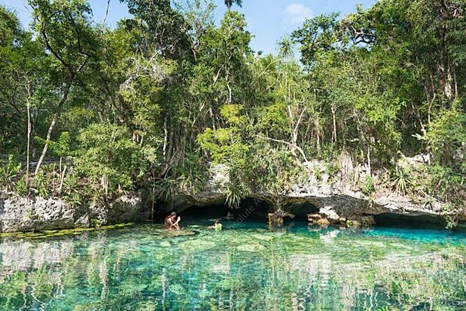 Turtle Encounter Private Tour – Swim with Sea Turtles & Cenote - Pickup timing and practical tips that make the day smoother