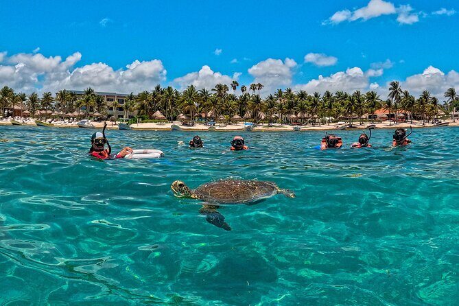 Turtle Snorkeling and Jungle Adventure with Cenote - What’s included (and why that saves your brain)