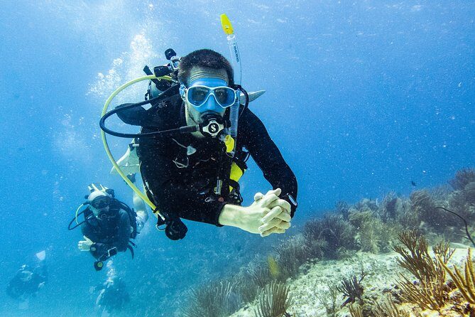 Two reef discovery dives with professional instructor (no experience necessary) - A Beginner-Friendly Scuba Day in Playa del Carmen