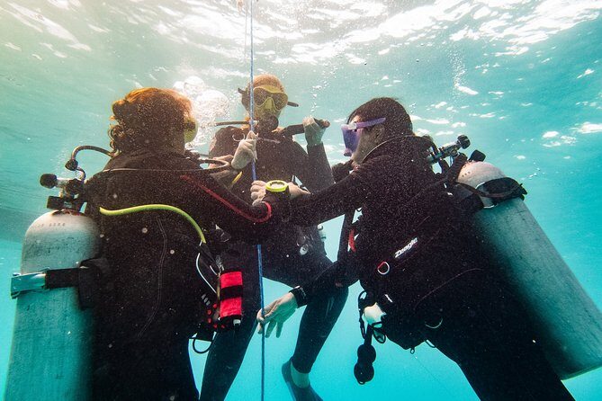 Two reef discovery dives with professional instructor (no experience necessary) - Briefing, eLearning, and Why It’s Not Just Paperwork