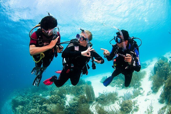Two reef discovery dives with professional instructor (no experience necessary) - Two Coral Reef Sessions: Depth, Duration, and Sea Life Odds