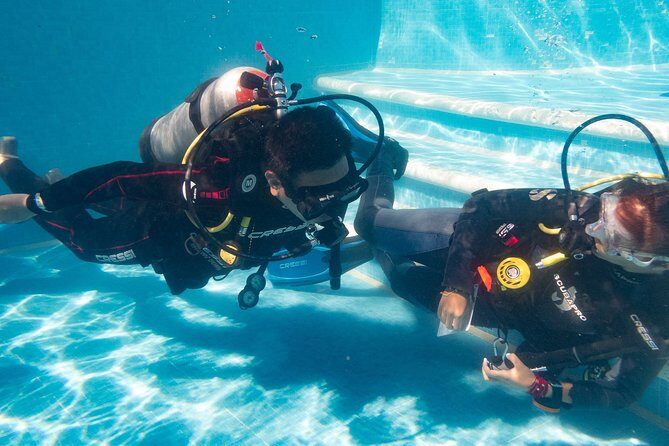 Two reef discovery dives with professional instructor (no experience necessary) - Gear Included: You Don’t Have to Hunt for the Right Stuff