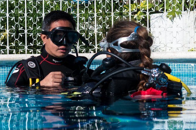 Two reef discovery dives with professional instructor (no experience necessary) - Pool Basics That Make the Ocean Feel Manageable