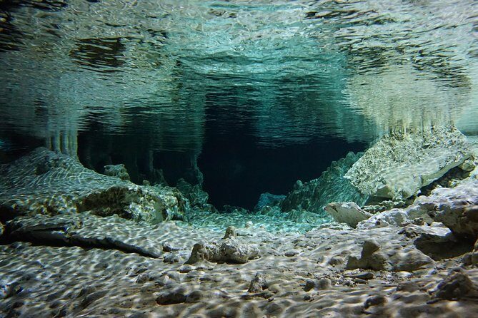 VIP Cenotes Private Tour - Snorkel Gear, Pro Tips, and Chilled-Water Comfort