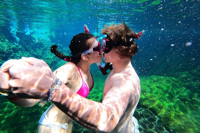 VIP Cenotes Private Tour (half-day) - Price and value at $185: does it make sense for your day?