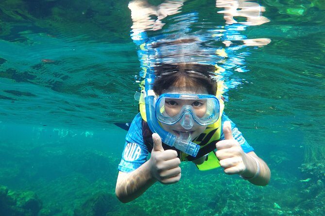 VIP Cenotes Private Tour - Yal-ku Lagoon Open Sky Cenote: Your First Hour of Sun and Fish
