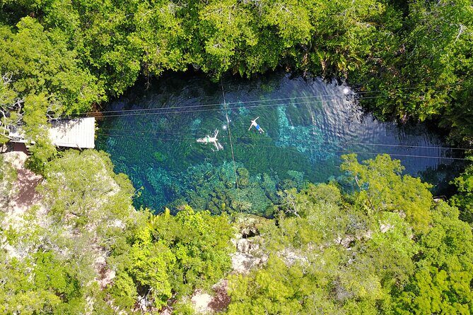 VIP Cenotes & Turtles Private Tour - Price and timing: is $215 per person good value?