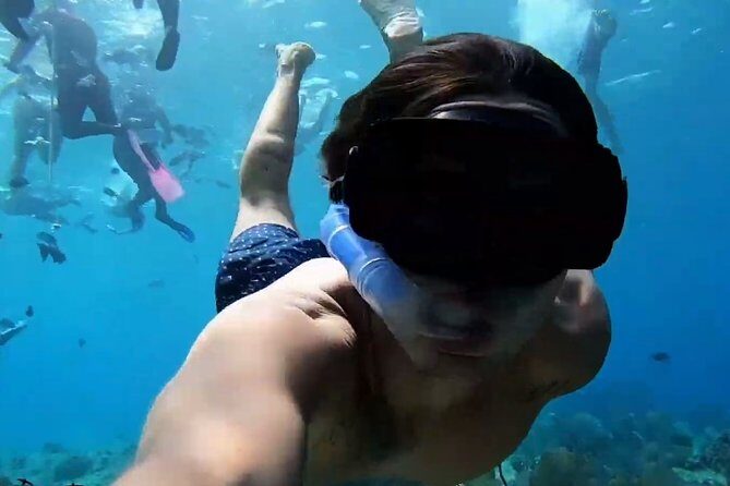VIP Private Glass Bottom Boat and Snorkeling, 3 Reefs in Cozumel - What you’ll actually pay for on the ground
