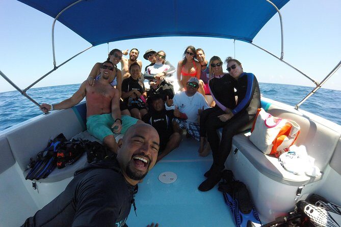 Whale shark encounter Private tour - swim with whale shark cancun - Lunch and Isla Mujeres at Playa Norte: The Perfect Wind-Down