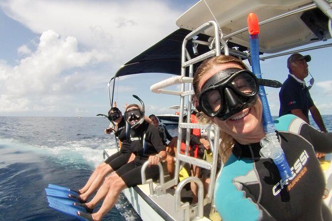 Whale shark encounter Private tour - swim with whale shark cancun - What the Price Really Buys (and Who It Fits)