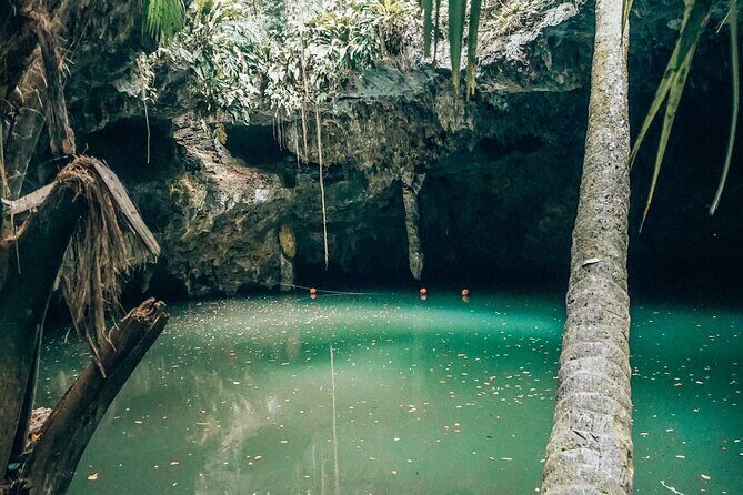 Wild Jade Cavern ATV Tour With Transfer - Stop 2: Jade Cavern and Chempita cenote (the bat factor included)